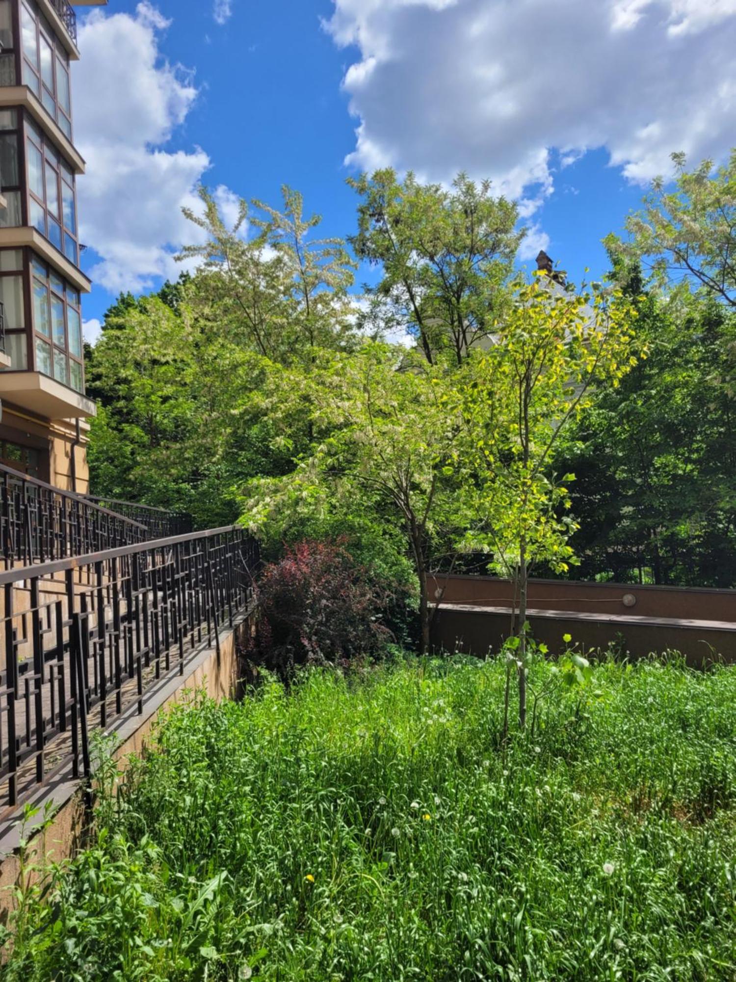 Центр, Біля Медичного Університету, Вулиця Личаківська Leópolis Exterior foto